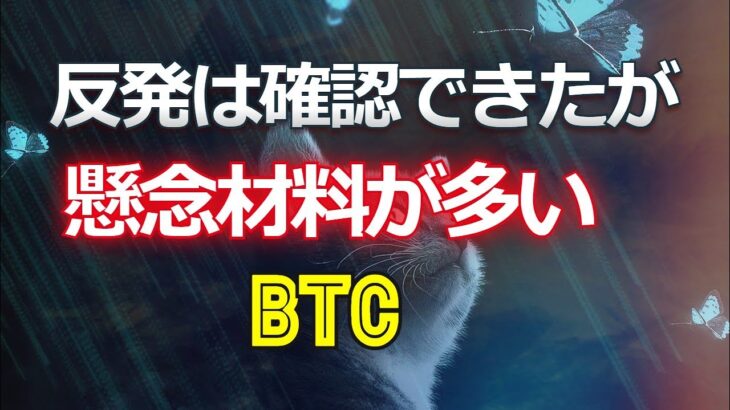 反発は確認できたが、懸念材料が多いビットコイン