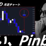 【BTC/USD】市場参加者をむしり取る乱高下..今月の確定足がシナリオを定める。(GBP/AUD: 半端ないクラッシュ！後発ロング検討)