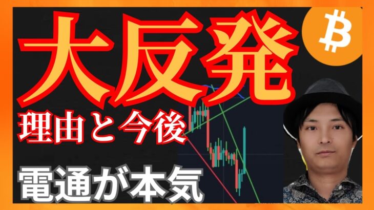 大反発、理由と今後！電通が本気！　仮想通貨ニュース+ ビットコイン イーサリアム ETC LUNC 相場分析