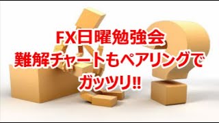 FX日曜勉強会 難解チャートもペアリングでガッツリ‼