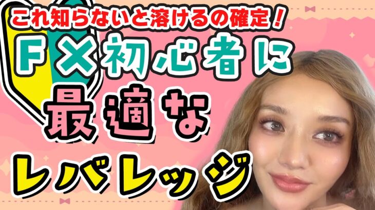 【初心者必見】あなたに適正なレバレッジとは？【FX】