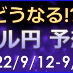 【FXドル円最新予想】FOMC前の最終週！米CPI・小売売上高・PPIに注目！来週の為替相場予想と投資戦略！(22/9/12週)