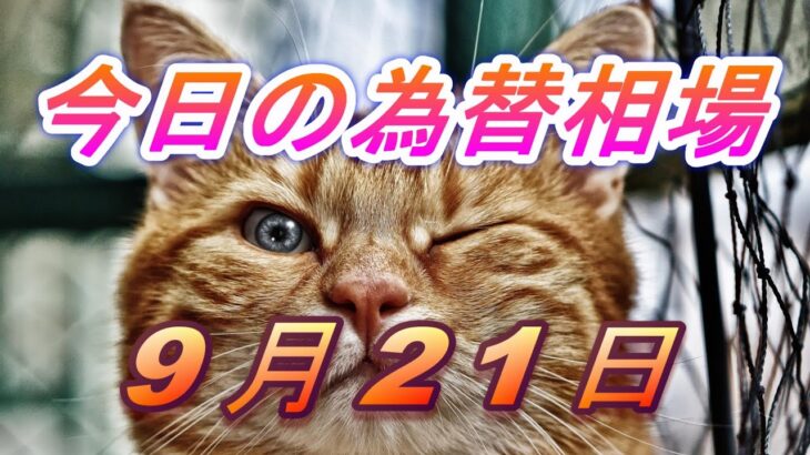 【TAKA FX】ドル、円、ユーロ、ポンド、豪ドルの為替相場の前日の動きをチャートから解説。9月21日