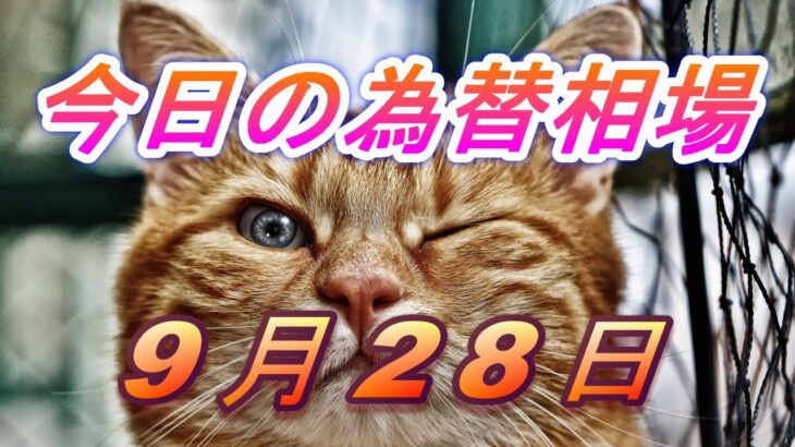 【TAKA FX】ドル、円、ユーロ、ポンド、豪ドルの為替相場の前日の動きをチャートから解説。9月28日