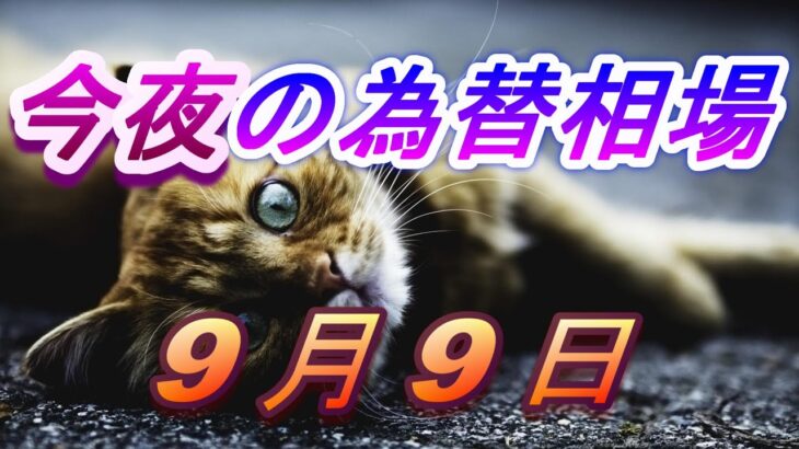 【TAKA FX】ドル、円、ユーロ、ポンド、豪ドルの為替相場の前日の動きをチャートから解説。9月9日