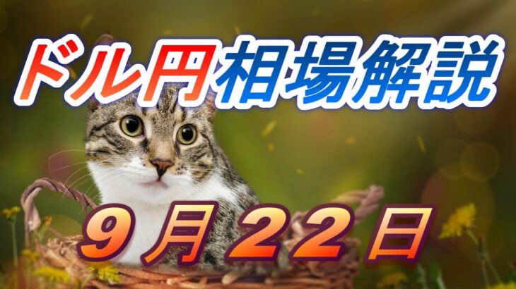 【TAKA FX】ドル円為替相場の前日の動きをチャートから解説。日経平均、NYダウ、金チャートも。9月22日