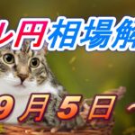 【TAKA FX】ドル円為替相場の今週の動きと来週の展望をチャートから解説。日経平均、NYダウ、金チャートも。9月5日～