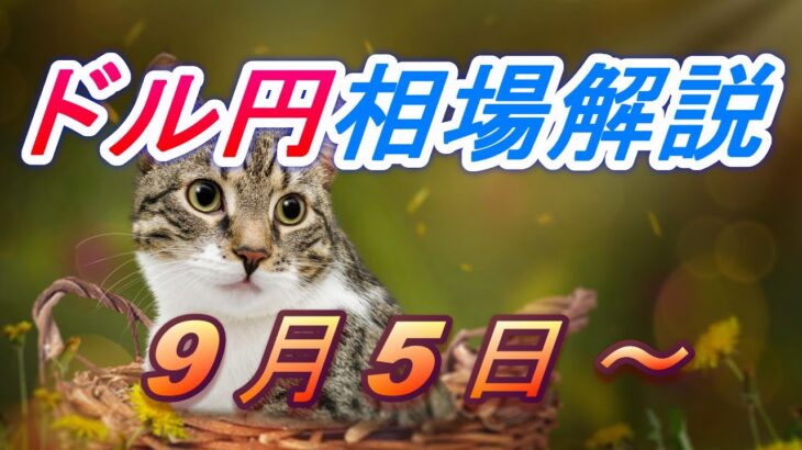 【TAKA FX】ドル円為替相場の今週の動きと来週の展望をチャートから解説。日経平均、NYダウ、金チャートも。9月5日～