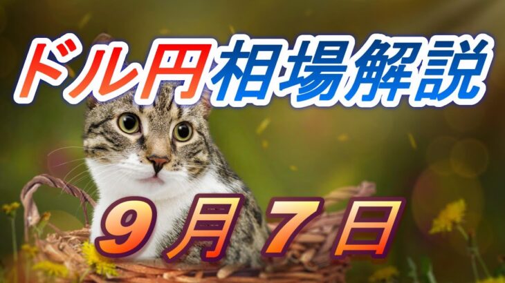 【TAKA FX】ドル円為替相場の前日の動きをチャートから解説。日経平均、NYダウ、金チャートも。9月7日