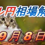 【TAKA FX】ドル円為替相場の前日の動きをチャートから解説。日経平均、NYダウ、金チャートも。9月8日