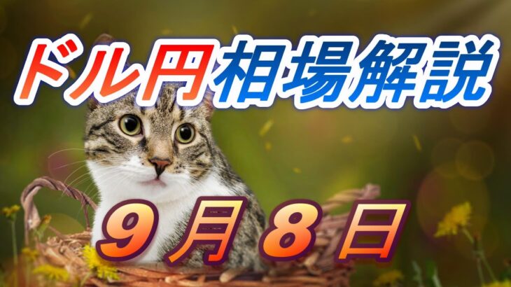 【TAKA FX】ドル円為替相場の前日の動きをチャートから解説。日経平均、NYダウ、金チャートも。9月8日