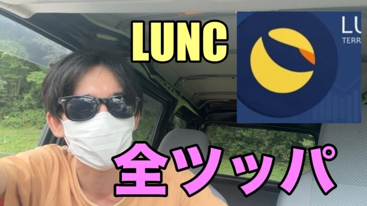 Twitterで話題のLUNCに全ツッパ【億り人】【仮想通貨】