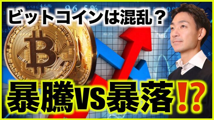 仮想通貨・ビットコインは暴騰と暴落で意見真っ二つ！