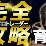 【最短最速】プロのスキルが身につく完全攻略マニュアル【永久保存版】
