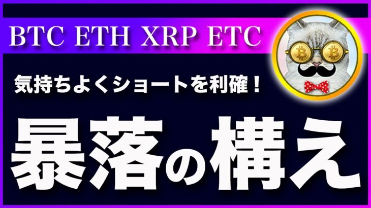 【ダメな落ち方】ビットコイン・いよいよ覚悟が必要です！【仮想通貨・戦略を先出しで毎日更新】