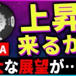 【暗号資産ADA】カルダノの巨大な展望をCEOが発表！