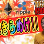【仮想通貨 ﾋﾞｯﾄｺｲﾝBTC ＆ ｱﾙﾄｺｲﾝ 分析】明日にときめけ!!上にきらめけ!!