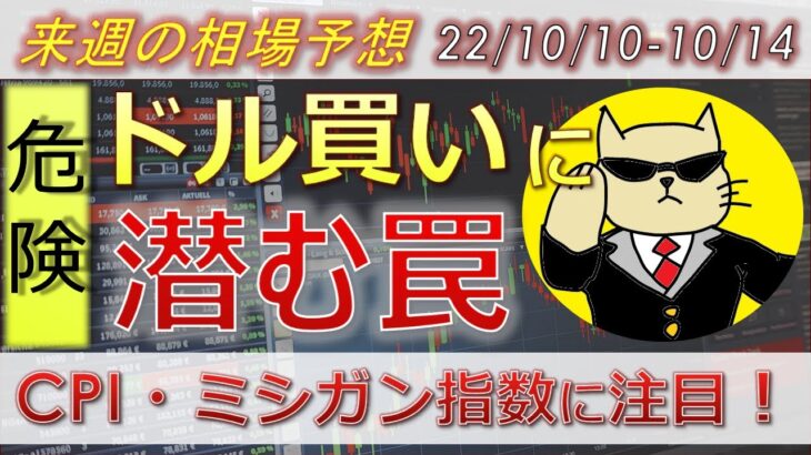 【ドル円最新予想】安易なドル買い超危険！？ドル買いに潜む罠とは？CPI・ミシガン・水際対策緩和に注目！来週の為替相場予想と投資戦略！(22/10/10週)【FX】