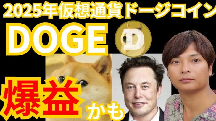 【保存版】仮想通貨ドージコイン DOGE 2025年 爆益かも