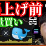 仮想通貨、爆上げ前❔大量買い発生‼️ ビットコイン ETH XRP Aptos Solana チャート分析