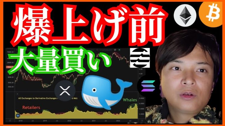 仮想通貨、爆上げ前❔大量買い発生‼️ ビットコイン ETH XRP Aptos Solana チャート分析