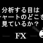 FX 分析する目はチャートのどこを見ているのか？