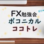 FX 「雑」なことをしていると「結果も雑」に終わる