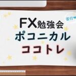 FX 準備の出来ない人間の目にはチャンスは映らない