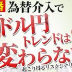 FX/為替予想「為替介入でドル/円のトレンドは変わらない！？起こり得るリスクシナリオとは（前編）」小川 統也氏・前波 弘氏 2022年10月4日