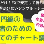 【FX チャート】FX入門編③ FX初心者のためのはじめてのチャート講座　勝つために必要な最小限の内容を解説
