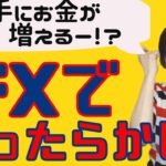【アメリカ利上げでチャンス！】スワップポイントねらいのFX投資なら10年放置で43万円！？　これはやるしかない！