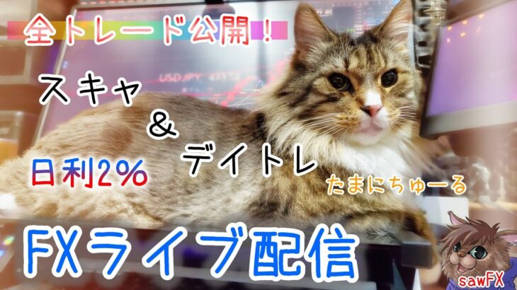 【FXライブ】今日はどやさ！　2022.10.6【リアルトレード】