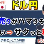 FX/為替予想「戻り売りがハマりそう・・利確はサクっと」5分でわかる今日のドル/円トレード戦略　2022/10/6