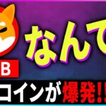 【暗号資産SHIB】犬系コインが爆発的に上昇している理由