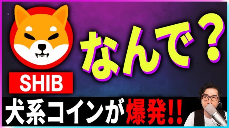 【暗号資産SHIB】犬系コインが爆発的に上昇している理由