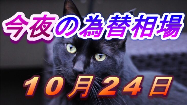 【TAKA FX】ドル、円、ユーロ、ポンド、豪ドルの為替相場の前日の動きをチャートから解説。10月24日