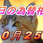 【TAKA FX】ドル、円、ユーロ、ポンド、豪ドルの為替相場の前日の動きをチャートから解説。10月25日