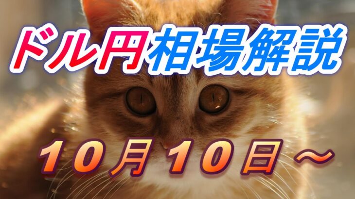 【TAKA FX】ドル円為替相場の今週の動きと来週の展望をチャートから解説。日経平均、NYダウ、金チャートも。10月10日～