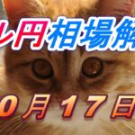 【TAKA FX】ドル円為替相場の今週の動きと来週の展望をチャートから解説。日経平均、NYダウ、金チャートも。10月17日～