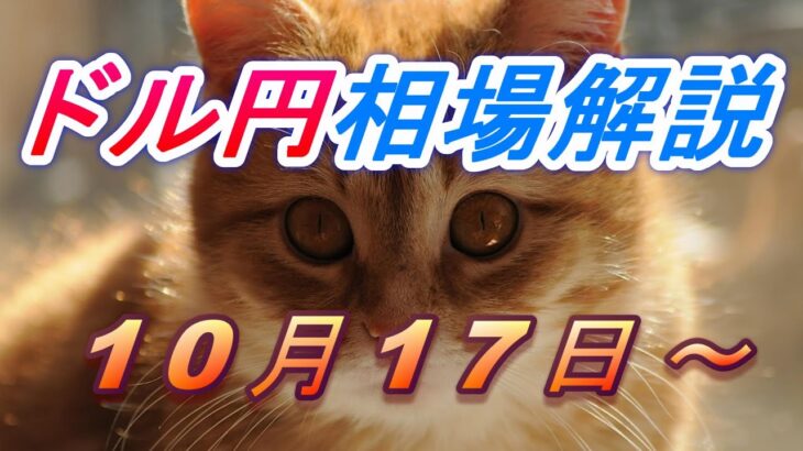 【TAKA FX】ドル円為替相場の今週の動きと来週の展望をチャートから解説。日経平均、NYダウ、金チャートも。10月17日～