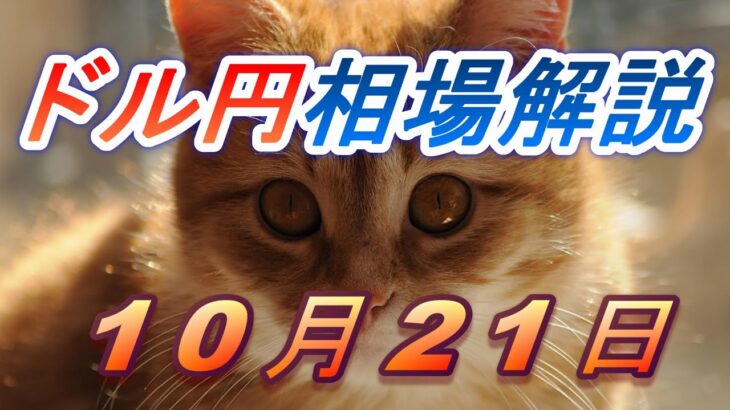 【TAKA FX】ドル円為替相場の前日の動きをチャートから解説。日経平均、NYダウ、金チャートも。10月21日