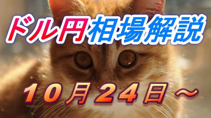 【TAKA FX】ドル円為替相場の今週の動きと来週の展望をチャートから解説。日経平均、NYダウ、金チャートも。10月24日～