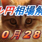 【TAKA FX】ドル円為替相場の前日の動きをチャートから解説。日経平均、NYダウ、金チャートも。10月28日