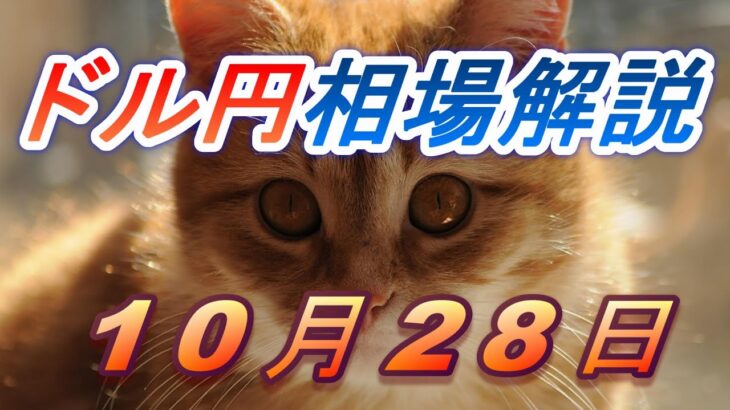 【TAKA FX】ドル円為替相場の前日の動きをチャートから解説。日経平均、NYダウ、金チャートも。10月28日