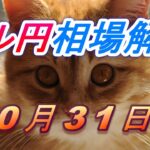 【TAKA FX】ドル円為替相場の今週の動きと来週の展望をチャートから解説。日経平均、NYダウ、金チャートも。10月31日～