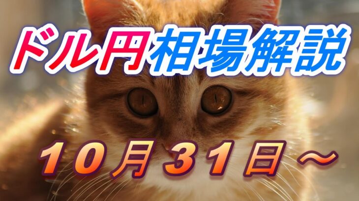 【TAKA FX】ドル円為替相場の今週の動きと来週の展望をチャートから解説。日経平均、NYダウ、金チャートも。10月31日～