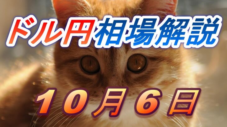 【TAKA FX】ドル円為替相場の前日の動きをチャートから解説。日経平均、NYダウ、金チャートも。10月6日
