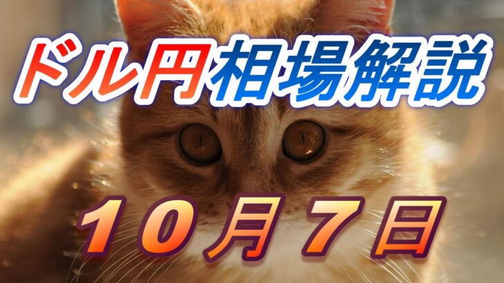 【TAKA FX】ドル円為替相場の前日の動きをチャートから解説。日経平均、NYダウ、金チャートも。10月7日
