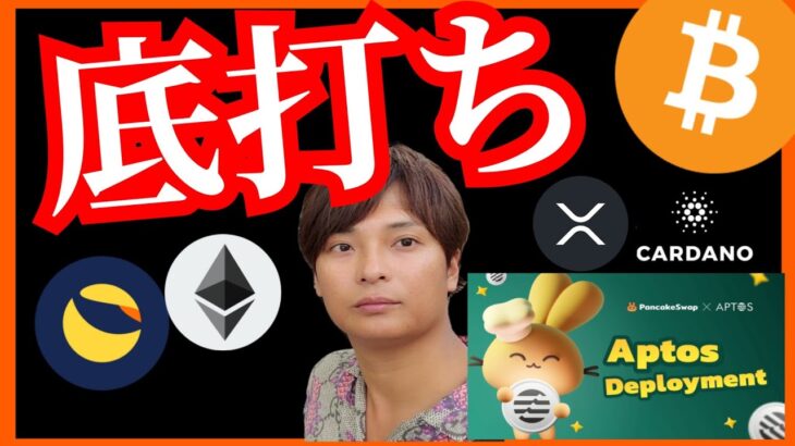 ✨仮想通貨、底打ちはX月？買い準備を！ ビットコイン ETH XRP ADA LUNC Aptos