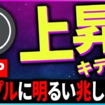 【暗号資産XRP】リップルの裁判に明るい兆し！上昇が来る！【仮想通貨】【暗号通貨】【投資】【副業】【初心者】